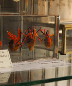 Panasonic LUMIX G7 4K Mirrorless Camera, with 14-140mm Power O.I.S. Lens, 16 Megapixels, 3 Inch Touch LCD, DMC-G7HK (USA BLACK) 44 8169xJqtXUL