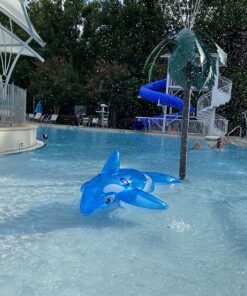 Intex Lil' Whale Ride-On, 60" X 45", for Ages 3+ 13 816AiQh6iPL