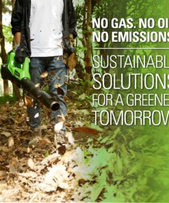 Greenworks 40V (115 MPH / 430 CFM) Brushless Axial Leaf Blower, 2.0Ah Battery and Charger Included Brushless Blower (2.0Ah) 25 816D K0Q0lS 1