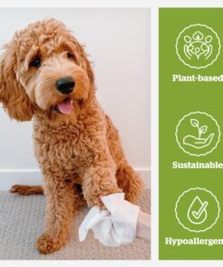 Pogi's Dog Grooming Wipes - 100 Dog Wipes for Cleaning and Deodorizing - Plant-Based, Hypoallergenic Pet Wipes for Dogs, Puppy Wipes - Quick Bath Dog Wipes for Paws, Butt, & Body - Fragrance Free 100-Count Wipes Fragrance-Free 27 816GNi8VZHL