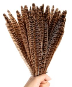 THARAHT 24pcs Female Ringneck Pheasant Tails Feathers Natural Feathers 10-12inch 25-30cm for Crafts Home Wedding Party Performance DIY Decoration Female Pheasant Feathers Female Pheasant feather-10-12inch 11 816IXnIQDzL