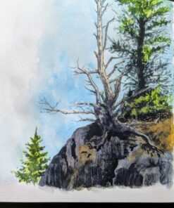 Moleskine Art Watercolor Album, Hard Cover, Large (5" x 8.25") Plain/Blank, Black, 72 Pages 26 816IiVnsNCL
