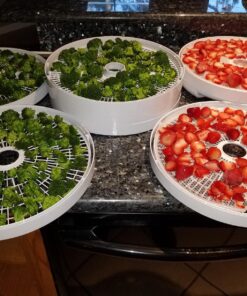 NESCO FD-75A Snackmaster Pro Food Dehydrator, For Snacks, Fruit, Beef Jerky, Gray 58 816KINow7HL