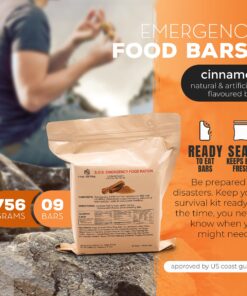 SOS Food Rations Emergency 3600 Calories Cinnamon Flavor Food Bar - 3 Day / 72 Hour Package with 5 Year Shelf Life- 1 Pack 21 816KZuTHdFL