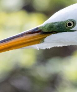 Nikon D500 DX-Format Digital SLR with 16-80mm ED VR Lens Black 76 816KgQAUboL