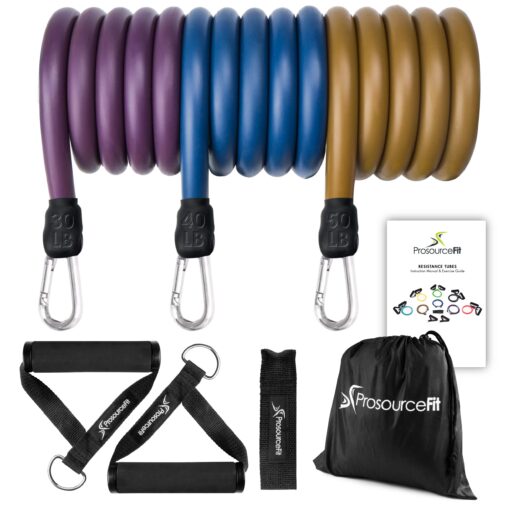 ProsourceFit Premium Heavy Duty Double Dipped Latex Stackable Resistance Band with Door Anchor and Exercise Chart Assorted - 20 LB to 50 LB Resistance Level