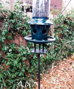Squirrel Buster Plus Squirrel-proof Bird Feeder w/Cardinal Ring and 6 Feeding Ports, 5.1-pound Seed Capacity, Adjustable, Pole-mountable (POLE ADAPTOR SOLD SEPARATELY), Green 48 816M32TMDGL