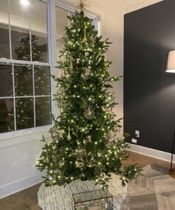 ORNAMENT ANCHOR Ornament Hooks for Hanging Christmas Decorations - No-Slip Hanging Hooks for Xmas - Heavy Duty Christmas Tree Ornaments Hanger Hooks for Small & Large Ornaments (Green, 24 Count) Green 30 816M8RmceoL