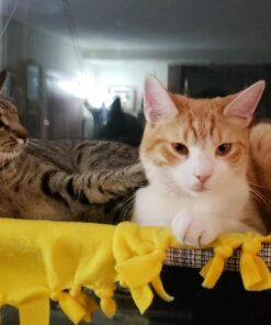 Kitty Cot Original World's Best Cat Perch (Large) Black Color Kitty Cot Large 54 816MKPMuyML