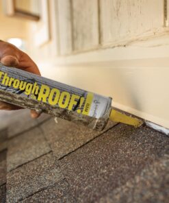 Sashco Quart Clear Roof Sealant,14003 10 816MRQ eObL 1