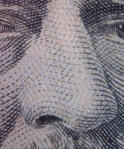 Opti-Tekscope Digital USB Microscope Camera- Advanced CMOS Sensor, True High Definition Macro 200x Zoom Imaging –1600 x 1200, Video, Flexible Acrylic Stand, 8 LED, Windows Mac Linux 23 816N3WyVR8L