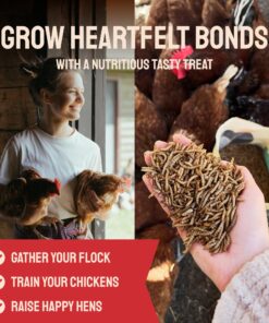 Hatortempt 5lbs Non-GMO Dried Mealworms - Premium Organic Chicken Feed, Nutritious High Protein Meal Worms- Food and Treats for Laying Hens, Wild Birds, Ducks, Reptiles, Fish, Hedgehogs, Turtles 5 Pound (Pack of 1) 29 816SmXId5qL