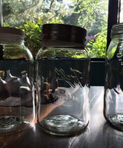 Paksh Novelty 1-Gallon Glass Jar Wide Mouth with Airtight Plastic Lid - USDA Approved BPA-Free Dishwasher Safe Mason Jar for Fermenting, Kombucha, Kefir, Storing and Canning Uses, Clear Plastic Lid, 1 Pack 28 816TsOEkXL