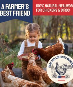 Hatortempt 5lbs Non-GMO Dried Mealworms - Premium Organic Chicken Feed, Nutritious High Protein Meal Worms- Food and Treats for Laying Hens, Wild Birds, Ducks, Reptiles, Fish, Hedgehogs, Turtles 5 Pound (Pack of 1) 25 816UUSUaxjL