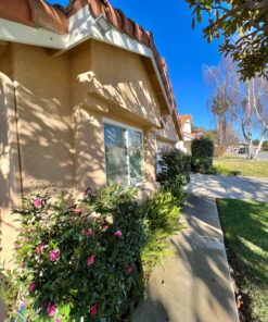 iThird Solar Lights Outdoor Motion Sensor, LED Solar Powered Outdoor Lights Stainless Steel Solar Security Lights for Yard Patio Garage Porch Waterproof 3 Modes Flood Light Super Bright(Daylight) Daylight 35 816UnLpW56L