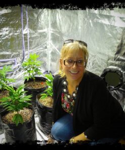 Alternative view of Advanced Nutrients 6201-14AB pH Perfect Sensi Grow Part A+B, 1 Liter, Brown/A