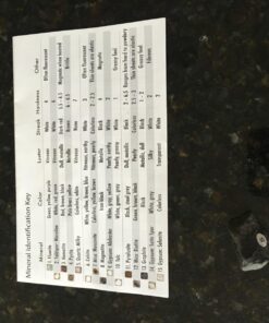 STEM Toy Mineral Science Kit Geology Rock Specimen for Young Geologists 15 816VrVI80SL