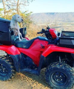 Goplus ATV Front Rack, Universal ATV Storage Rack, Heavy Duty Luggage Carrier with Metal Mesh Frame, ATV/UTV Cargo Basket, 36.5”L x 17.5”W x 6.5”H 33 816XG8 jdaL