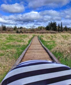 Baby Car Seat Cover Canopy and Nursing Cover Multi-Use Stretchy 5 in 1 Gift "The Classic" by Copper Pearl 33 816Xaf0t7GL