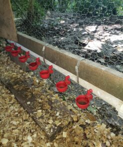 RentACoop DIY Waterer Kit - Auto-Fill Cups with Inserts - Great for Chickens, Ducks, Geese, Turkeys, Peafowl, and Quail - 2 Pack + 1 Bonus Cup Included pack of 2 45 816YiYHOxmL