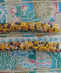 Glass Gem Indian Corn Heirloom Seed - The Most Beautiful Corn in the World! 38 816YwUewNsL