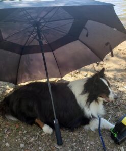 ACEIken Golf Umbrella Large 58/62/68 Inch Automatic Open Golf Umbrella Extra Large Oversize Double Canopy Vented Umbrella Windproof Waterproof for Men and Women Black 62 inch 37 816ZnBtv gL