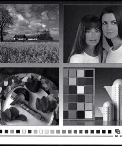 Brother MFCL2700DW All-In One Laser Printer with Wireless Networking and Duplex Printing, Amazon Dash Replenishment Enabled 21 816abSavKjL