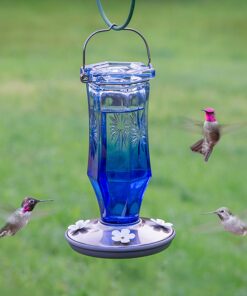 Perky-Pet Sapphire Starburst Vintage Glass Hummingbird Feeder 8129-2 12 816eNeDJ5kL