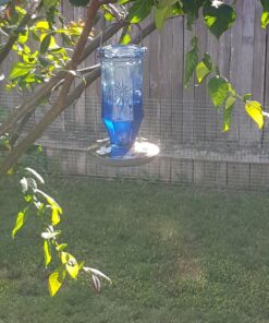 Perky-Pet Sapphire Starburst Vintage Glass Hummingbird Feeder 8129-2 21 816eqPF6zyL