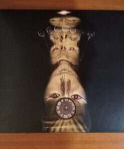 Alternative view of Mezmerize       Explicit Lyrics Mezmerize [Clean]