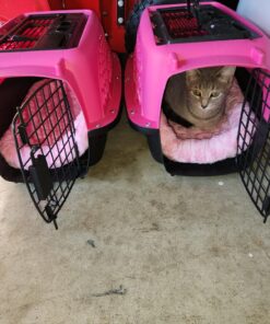 Petmate Two Door Pet Kennel for Pets up to 15 Pounds, Pink/Black, 19" Long, Made in USA Two-door 19.0"L x 13.0"W x 10.0"H 33 816igy3RnEL