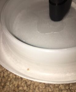 Climbup Insect Interceptor Bed Bug Trap, 4ct 26 816m rNpbfL