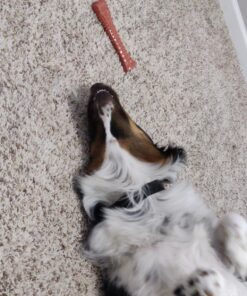 Nylabone Power Chew Dog Toy - Dog Toys for Aggressive Chewers - Indestructible Dog Toys for Aggressive Chewers Large Breed - For Extra Large Dogs - Bacon Flavor X-Large/Souper (1 Count) X-Large/Souper - 50+ lbs. 46 816mVDjJHFL