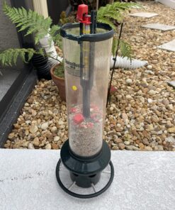 Squirrel Buster Plus Squirrel-proof Bird Feeder w/Cardinal Ring and 6 Feeding Ports, 5.1-pound Seed Capacity, Adjustable, Pole-mountable (POLE ADAPTOR SOLD SEPARATELY), Green 47 816oZg77sL