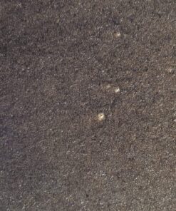 Lodge BOLD 14 Inch Seasoned Cast Iron Wok; Design-Forward Cookware 29 816ongSACAL