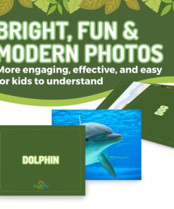 Animal Flash Cards - 50 Educational Flashcards for Children and Adults - Fun Vocabulary Builder Flash Cards for Speech Therapy, ESL, Occupational Therapy, and More Animals 17 816q6Ecf0lL
