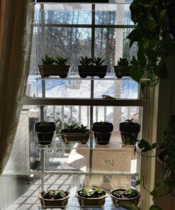 Beautiful Views Hanging Window Plant Shelves (4 Shelves) 4 Shelves 20"x6"x54" 35 816uz1VfDNL