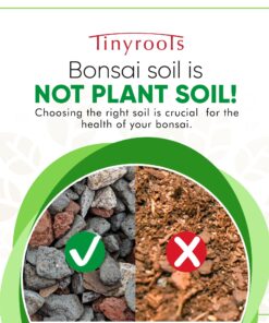 Alternative view of Bonsai Outlet Bonsai Soil Mix - Tinyroots All Purpose Bonsai Soil Mix Ready to Use Blend, Used for All Varieties of Bonsai Trees, 2.5 Gallons All-Purpose