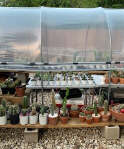 SUNVIEW Greenhouse Clear Plastic Film Polyethylene Covering Gt4 Year 6 Mil 12ft. X 25ft. 20 8172UbsQNSL