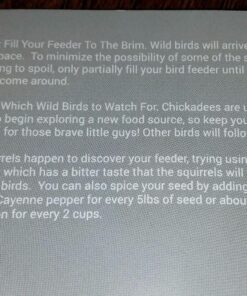 Tranquil Outdoors Large Acrylic Window Bird Feeder: Strong Removable Suction Cup Mounted Outdoor Bird House Feeder, Clear Birdfeeders for Large & Small Birds. Best See Thru Feeder for Bird Watching 57 8173RH7sxIL 1