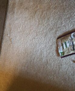 FELINE GREENIES Natural Dental Care Cat Treats Tempting Tuna Flavor, 2.1 oz. Pouch 2.1 Ounce (Pack of 1) 27 8174u5LSn7L