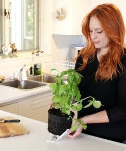 Emsco Group 2370 Hydropickers Compact 24” x 20” Footprint – Mobility Provided by Casters Non-Electric Hydroponics Grow Box, Cobalt Blue 10 817A5GKVe3L