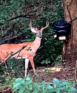 Moultrie Feed Station, Choose Model Feed Station II 28 817AgjoJ0KL