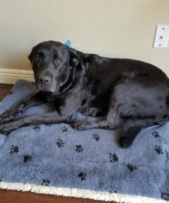 MidWest Homes for Pets Reversible Paw Print Pet Bed in Blue / White, Dog Bed Measures 40L x 26W x 3.5H for Large Dogs, Machine Wash 40.0"L x 26.0"W x 3.5"Th 24 817BLY573gL