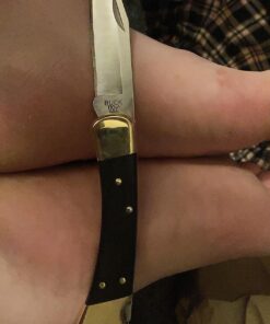 Buck Knives 110 Folding Hunter Lock-back Knife, Brass Bolsters, Ebony Handles, 3-3/4" 420HC Blade with Leather Sheath Classic 3.75" 43 817BsxDbhvL