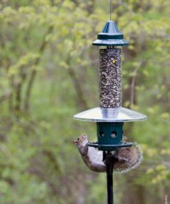 Squirrel Buster Plus Squirrel-proof Bird Feeder w/Cardinal Ring and 6 Feeding Ports, 5.1-pound Seed Capacity, Adjustable, Pole-mountable (POLE ADAPTOR SOLD SEPARATELY), Green 39 817Dtpx hQL