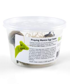 BioLogic Company, Inc. Praying Mantis Egg Cases - 2 Extra Large Cases 26 817FZdZIFNL