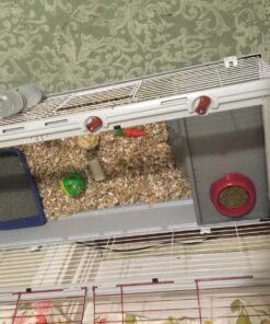 Living World - Deluxe Hybrid Habitat, X-Large - Rabbit, Guinea Pig, Chinchillas, and Small Animal Cage 46.9"L x 22.8"W x 24.0"H Standard Packaging 34 817HFgw0QiL