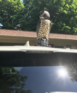Dalen Fake Owl Decoy to Scare Birds Away from Gardens, Rooftops, and Patios - Scarecrow Provides Chemical-Free Pest Control - Safe and Humane, 18" 360º Rotating Head 41 817HVoAlKWL