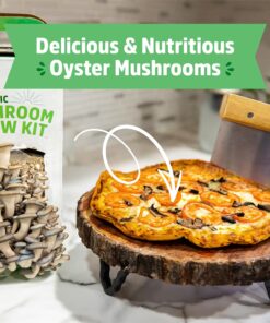 Back to the Roots Organic Oyster Mushroom Grow Kit, Harvest Gourmet Mushrooms In 10 Days 1 Count (Pack of 1) 50 817M4lHCDpL